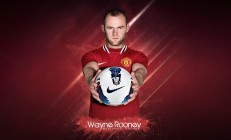 开云在线赛事平台-橙色风暴中的关键拼图，帕尔默如何助荷兰拿下澳大利亚