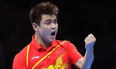 开云在线赛事平台-法国乒乓球队完胜奥地利乒乓球队，王皓送出助攻的简单介绍