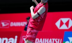 开云体育入口-关于韩国队力克日本队，陈雨菲惊艳四座的信息