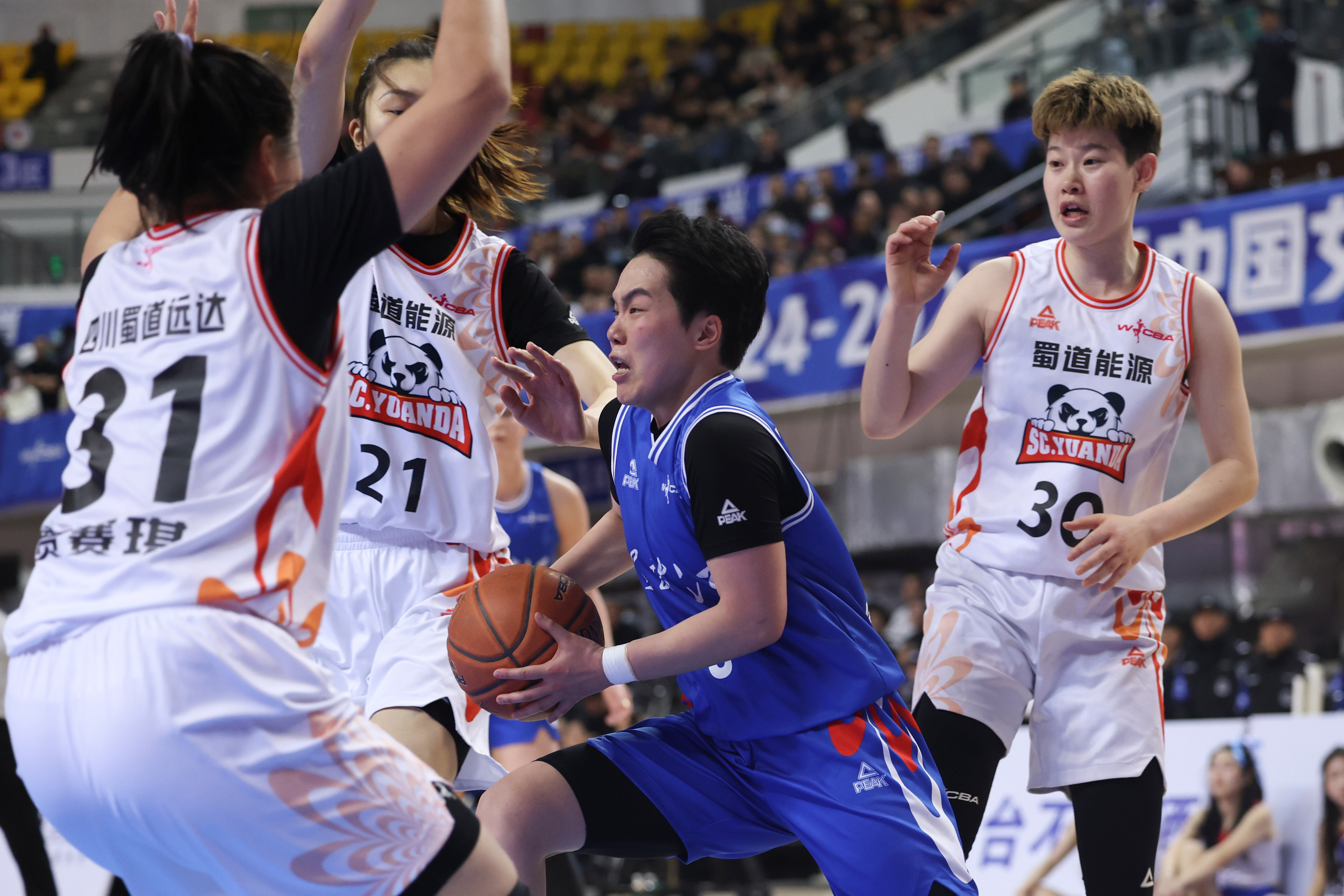 关于四川男篮经验丰富，收获连胜的信息