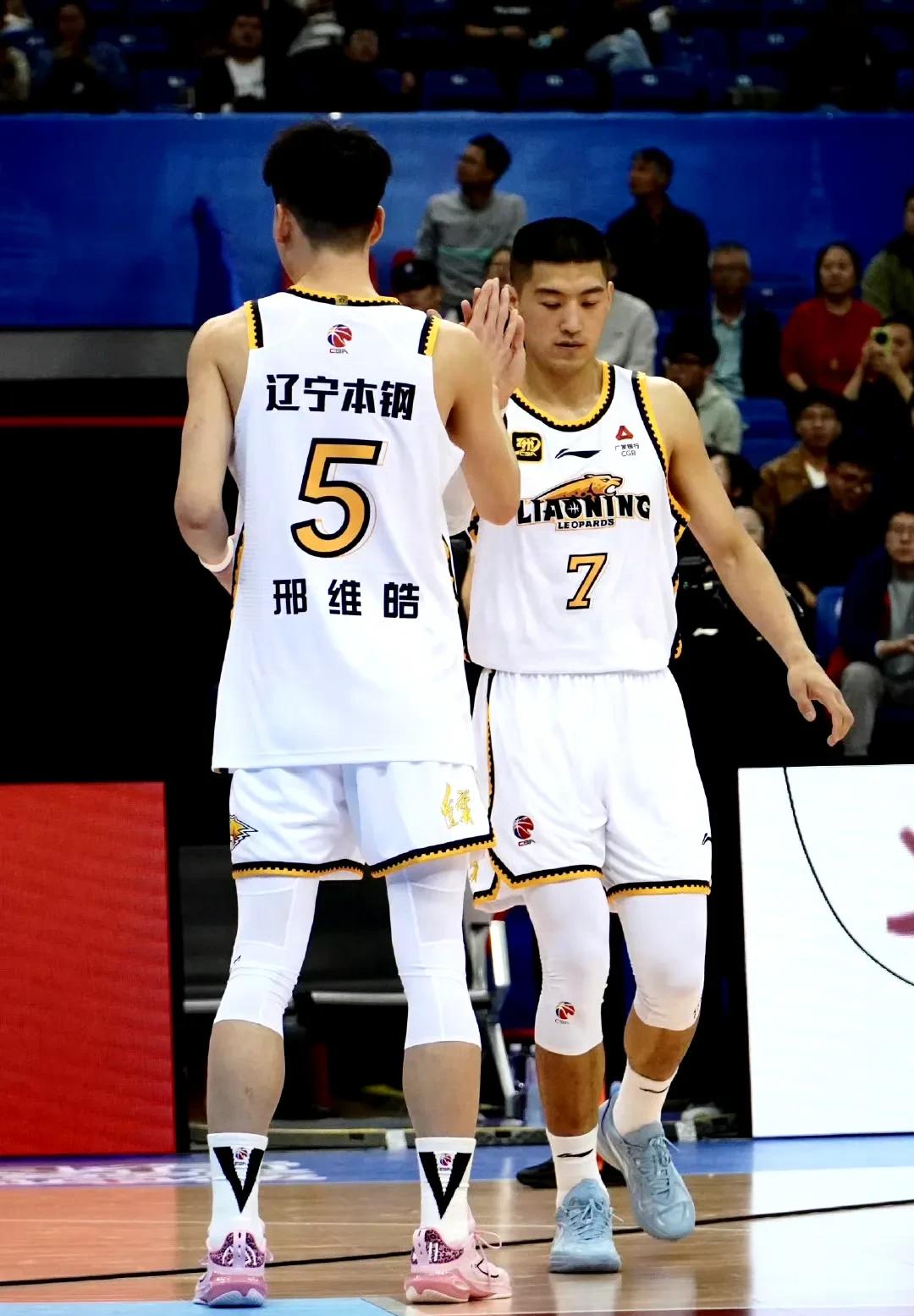 包含辽宁男篮再战胜对手，季后赛前景美好的词条