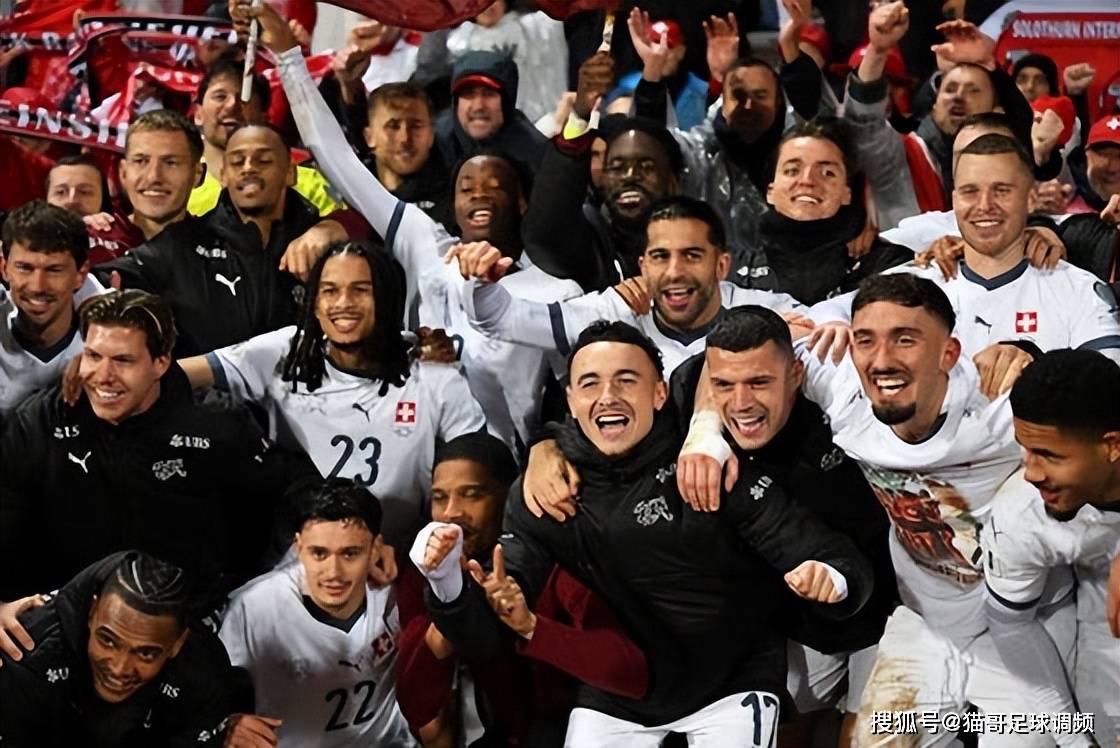 团结拼搏，欧洲国家杯赛场上呈现一幕幕奇迹！的简单介绍