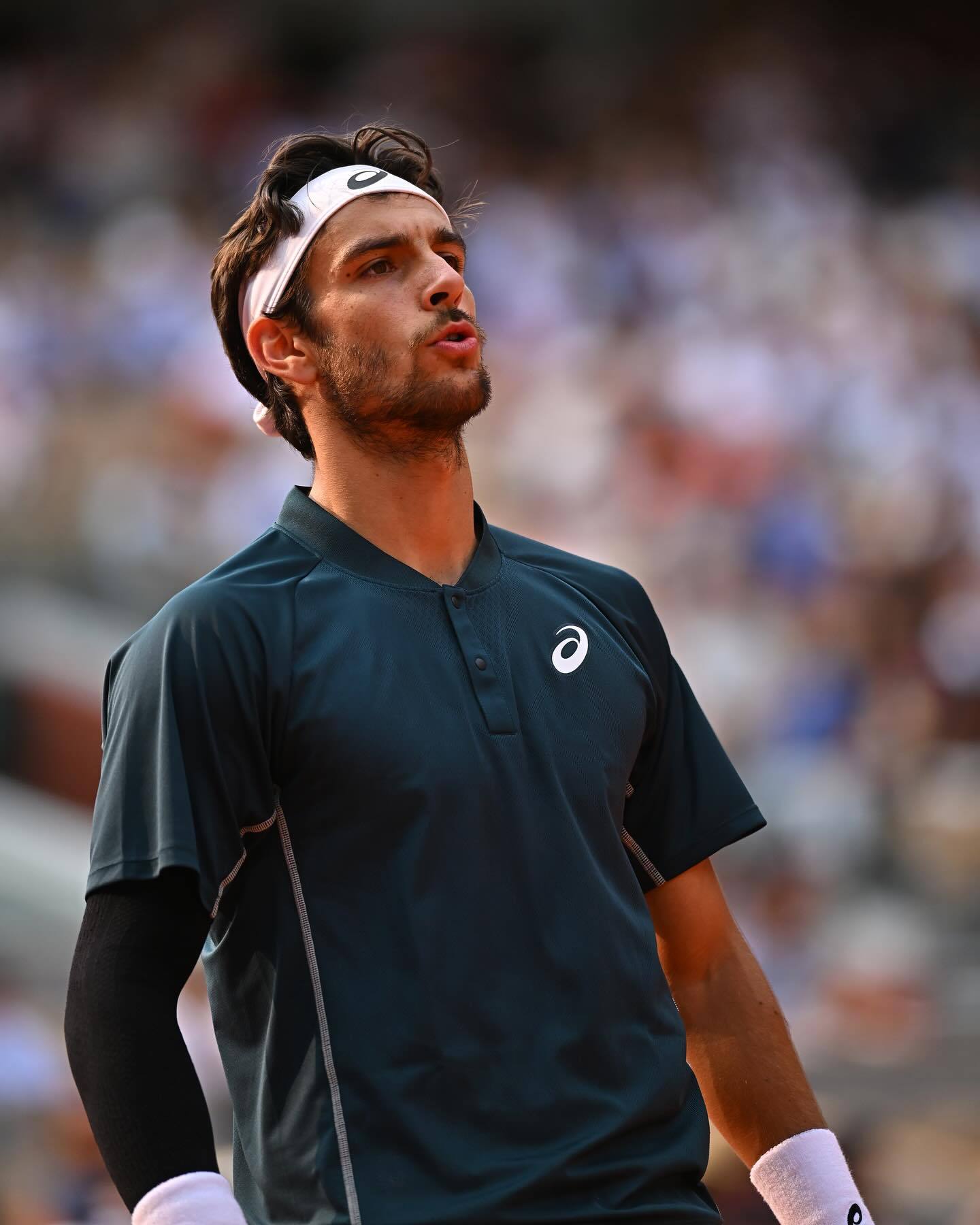 包含年终总决赛绝杀戴维斯杯，阿尔卡拉斯统治全场的词条